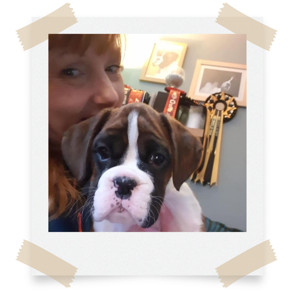 Should I Breed My Puppy? Image of Jo Wilson and Gary the Boxer Puppy