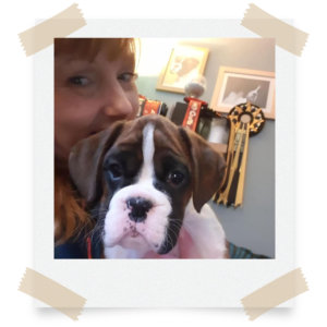 Should I Breed My Puppy? Image of Jo Wilson and Gary the Boxer Puppy