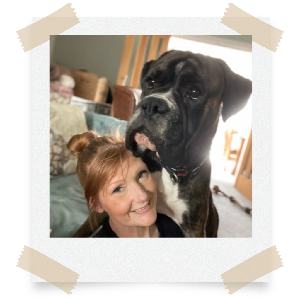 How to keep a house clean with dogs