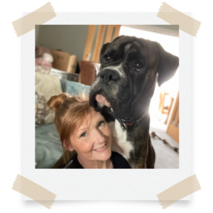 How to keep a house clean with dogs