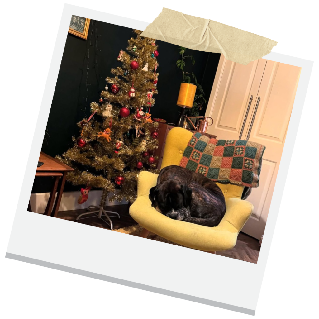 Christmass Stress in Dogs