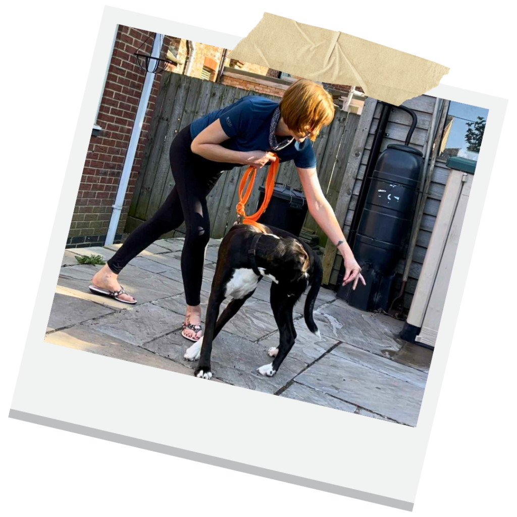 Jo Wilson working with a dog during a training session | Jo Wilson | Dog Training Hartlepool