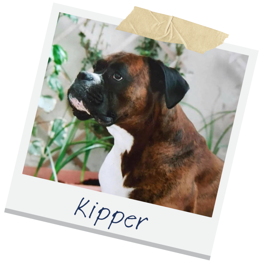 Jo's first dog | Kipper | Dog School for Humans